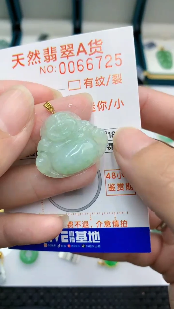 【闪购商品】翡翠颈饰18K金镶嵌            8