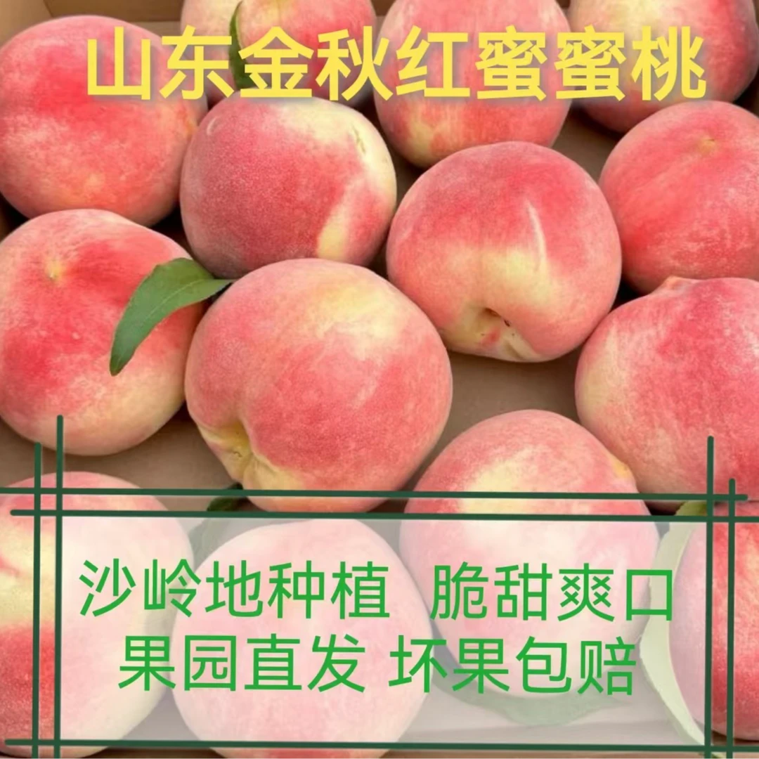 山东金秋红蜜大脆桃新鲜水果脆甜可口果园直发