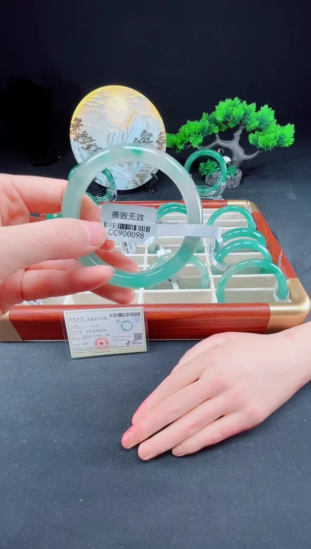 未镶嵌手镯石英质玉（非洲翠）真品上等纯天然非洲翠玉手镯石英质玉