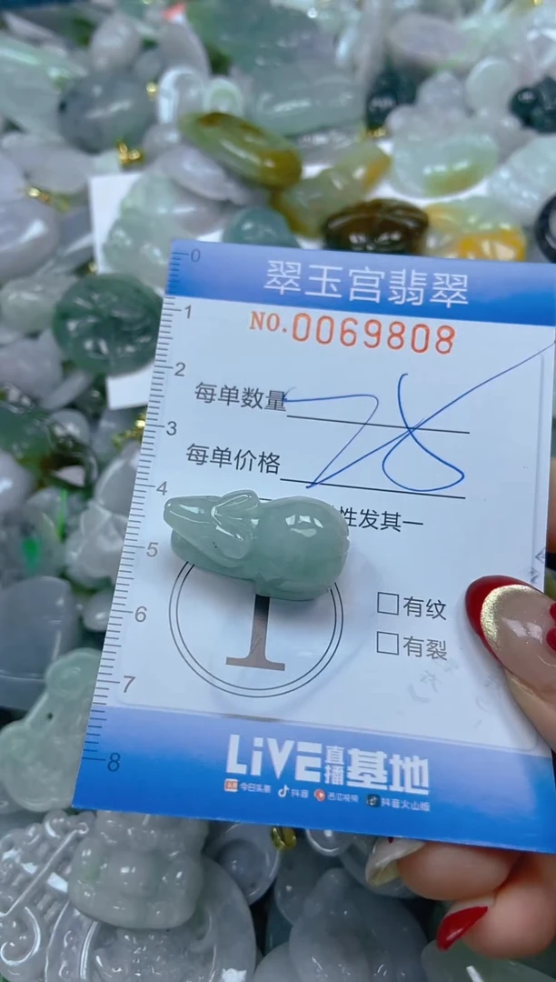 【闪购商品】翡翠颈饰未镶嵌闪购0069808