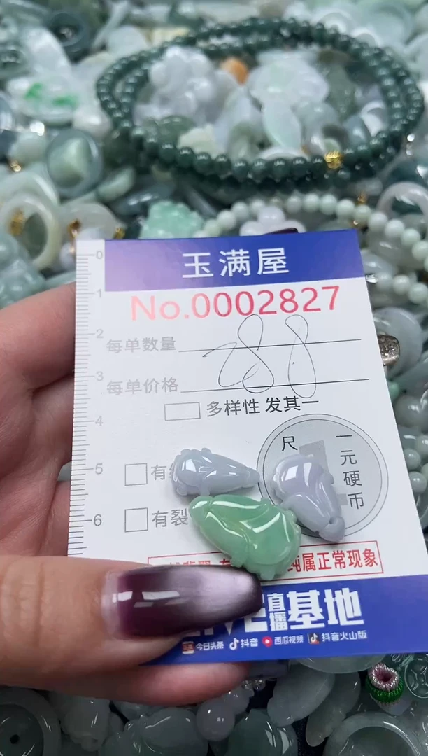 颈饰未镶嵌翡翠2827