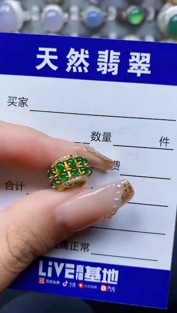 翡翠银S925镶嵌颈饰37