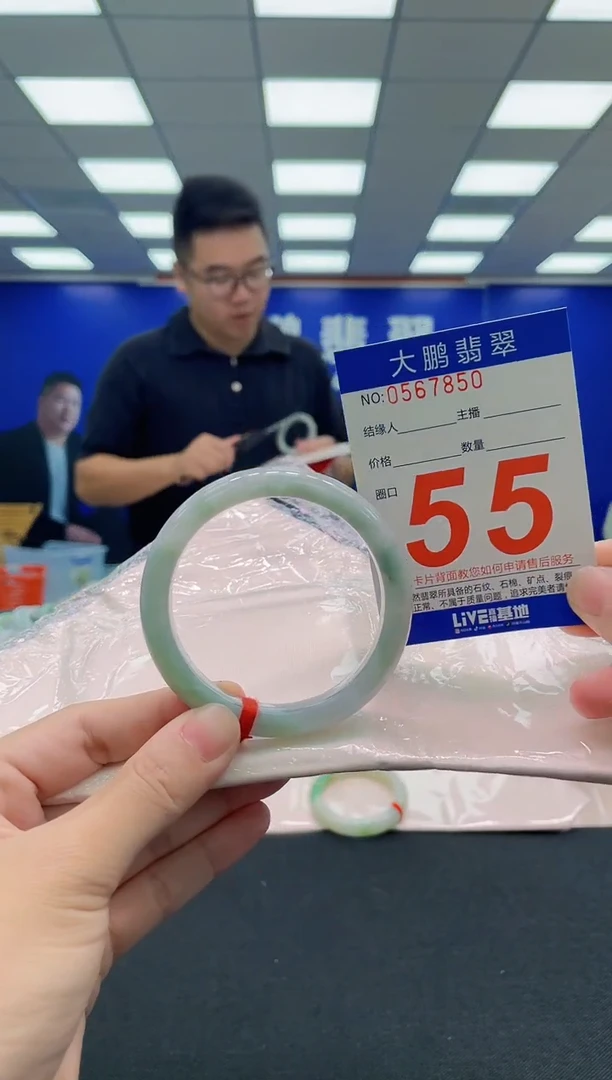 未镶嵌手镯翡翠AAAAAAAAA