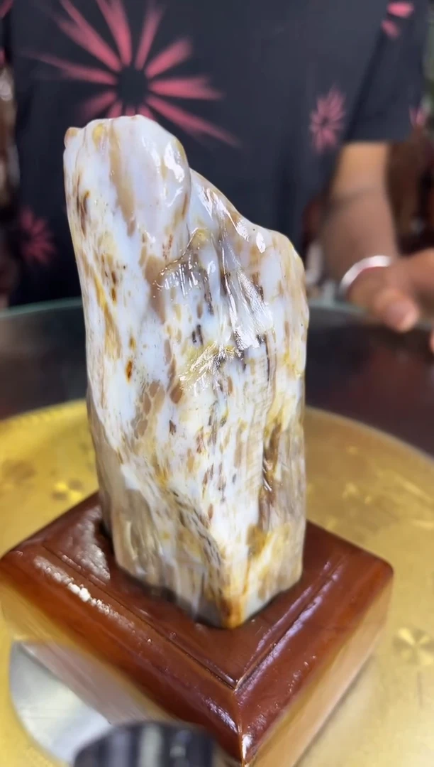 硅化玉珠宝奇石未镶嵌缅甸天然树化玉