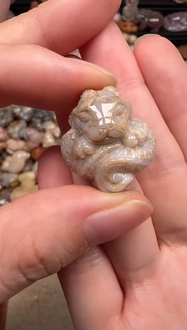 硅化珊瑚（珊瑚玉）未镶嵌颈饰071