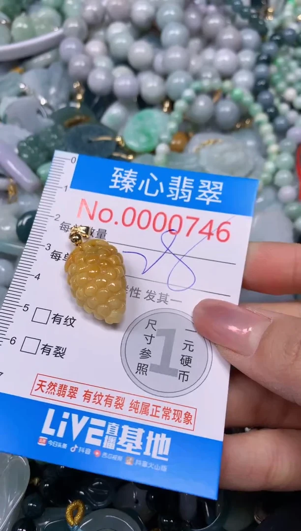 【闪购商品】翡翠颈饰未镶嵌含绳000746