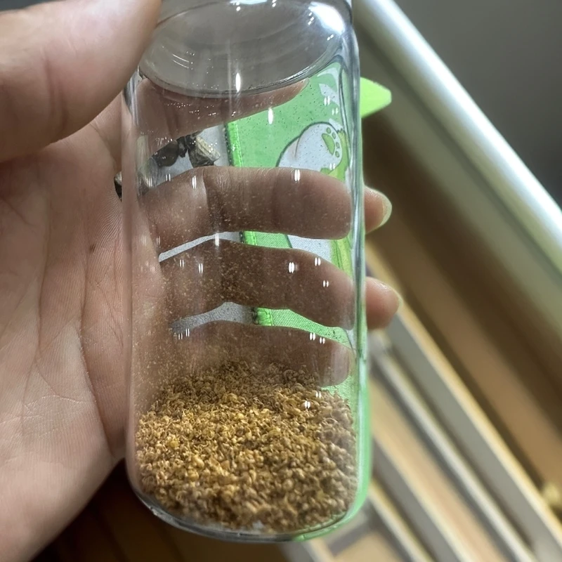 海南虎斑棋沉香勾丝