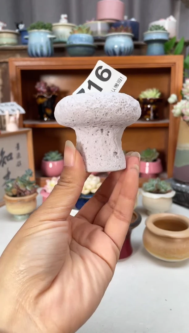 瓷片福利716小芳直播编号