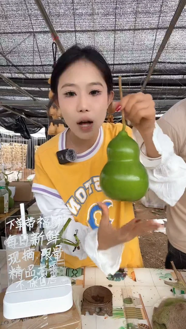331天然葫芦摆件 一物一拍龙头不保售后