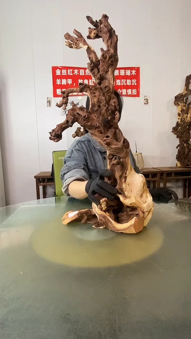 木東*叟金丝红木 羊蹄甲