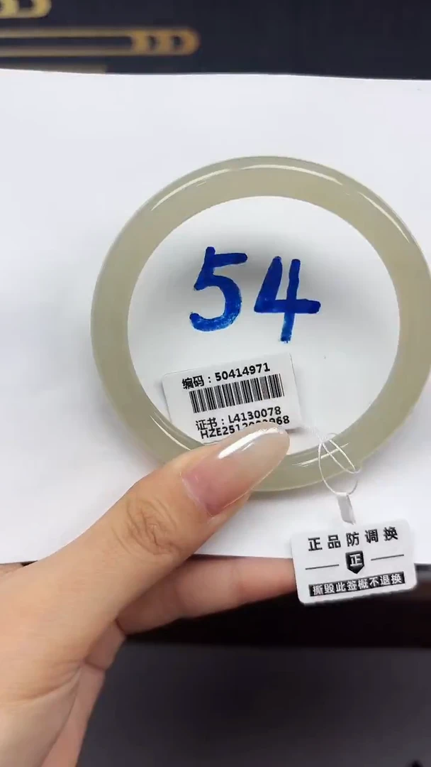 未镶嵌手镯和田玉4971