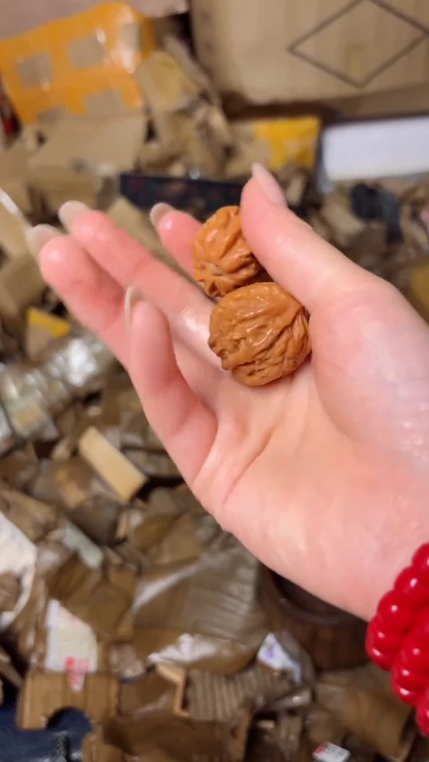 木111111111111111111