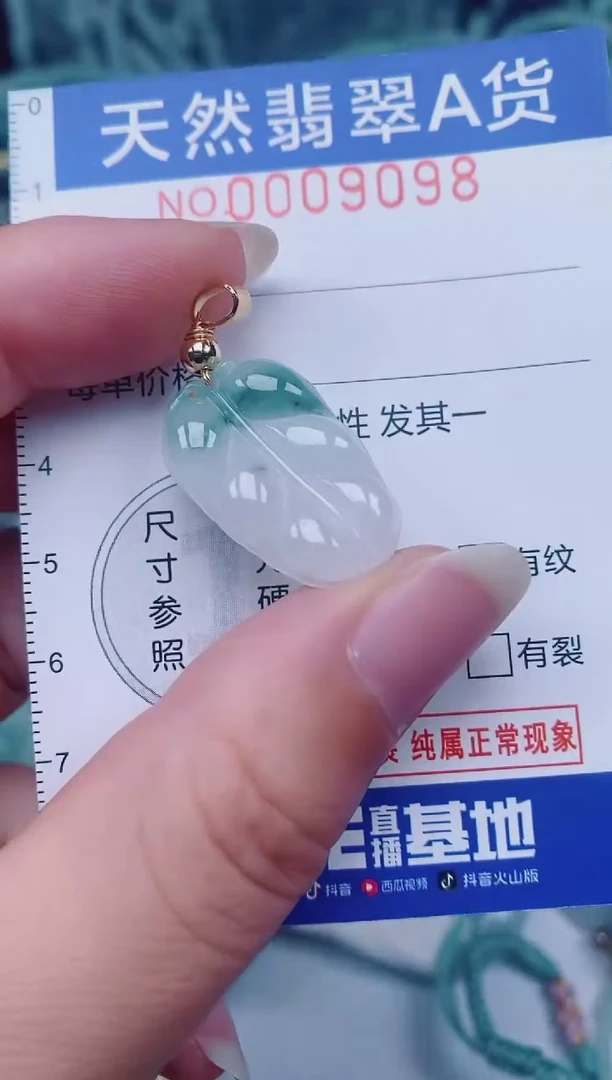颈饰未镶嵌翡翠00009098
