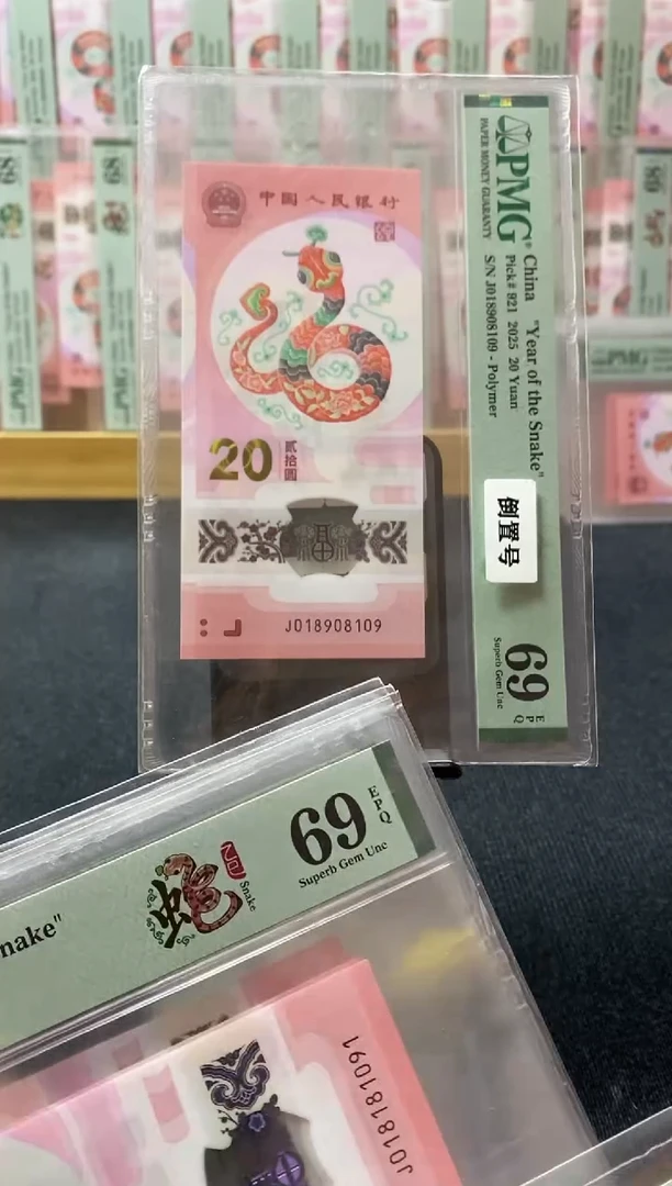 塑料蛇钞 0189倒置号 pmg69分 J-018908109