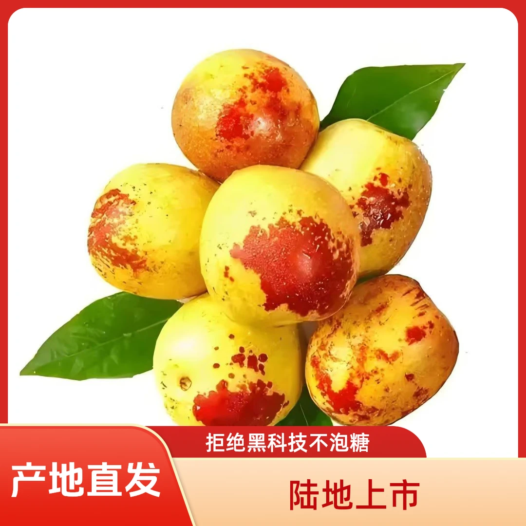 正宗陕西大荔冬枣现摘现发脆甜可口当季新鲜水果