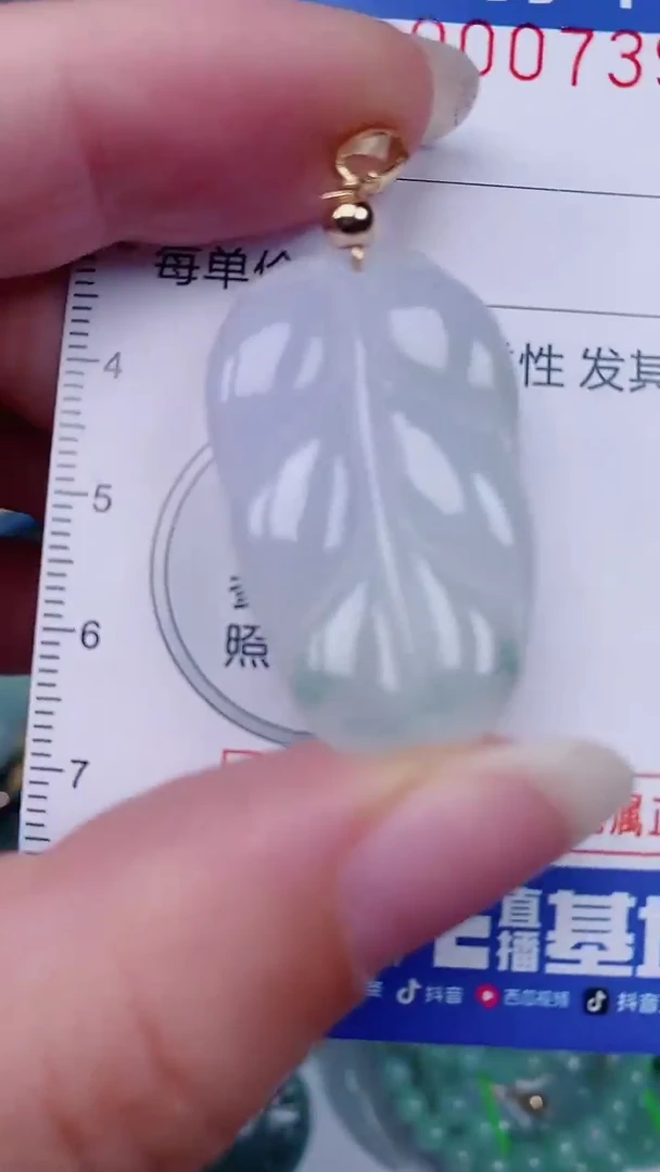 翡翠未镶嵌颈饰00007391