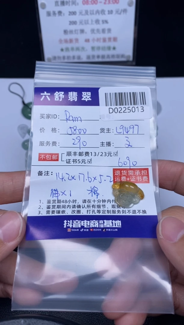 【闪购商品】翡翠吊坠(不含链)未镶嵌D0225013