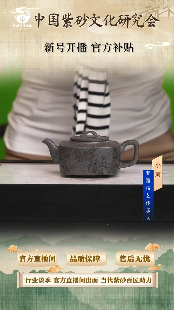 茶壶紫砂陶茶文化潘春芳             天青240cc左右