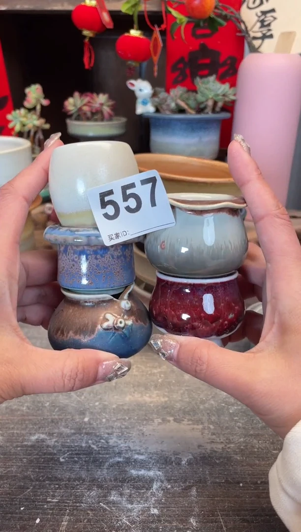 【闪购商品】摆件557知木小芳花盆