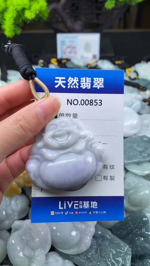 颈饰未镶嵌翡翠天然缅甸翡翠853