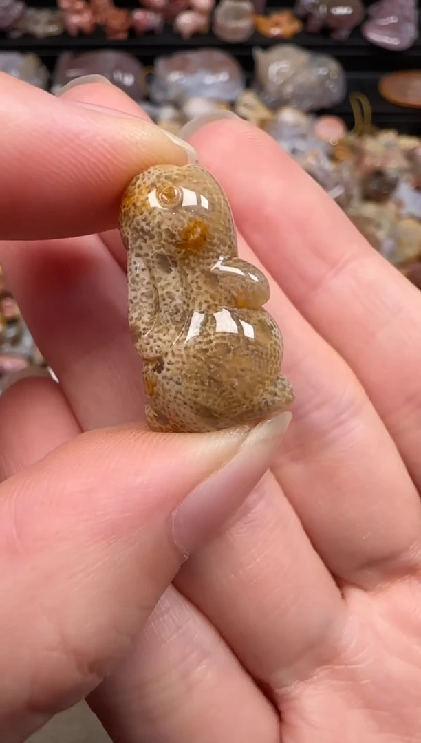 硅化珊瑚（珊瑚玉）未镶嵌颈饰901