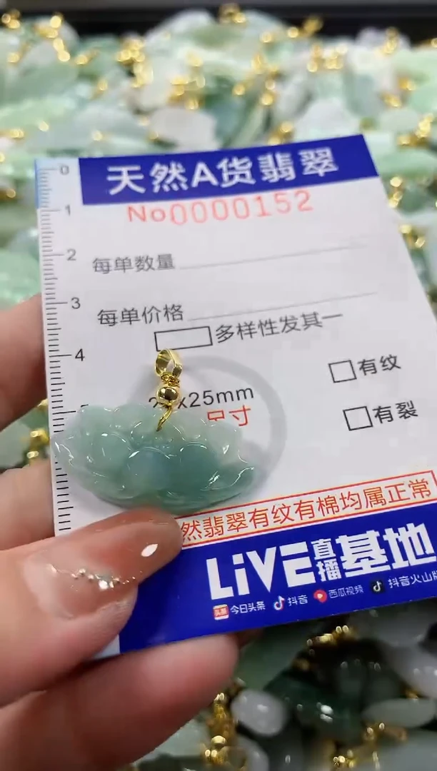 颈饰未镶嵌翡翠天然A货翡翠