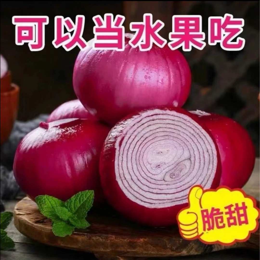 【红皮水果洋葱种子】家庭阳台圆型洋葱头小院盆栽地栽四季种植