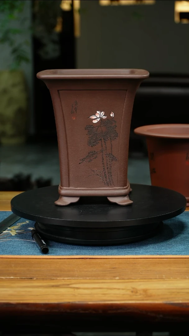 紫砂花盆跳****界精品兰花微
