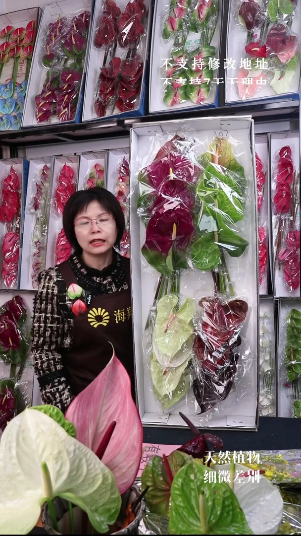 302混色16枝(长35-45cm横冠幅12-15cm)有瑕福利不退不换不售后