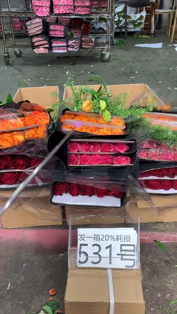 531号♥含20%耗损发一箱