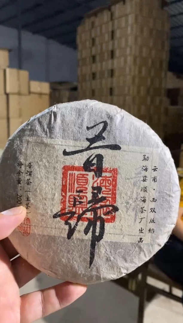 茶壶紫砂昔归 生茶 200g