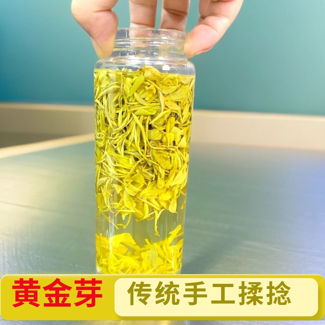 25年春茶手工黄金芽（老品种揉捻黄金螺H196）花香果香豆香新茶散装