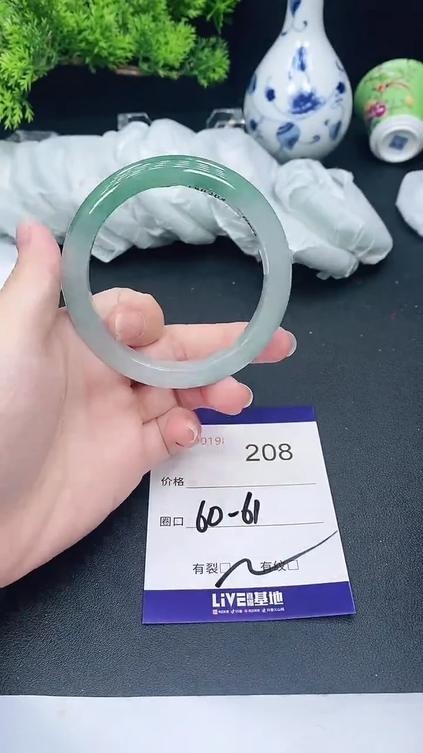 未镶嵌手镯翡翠208