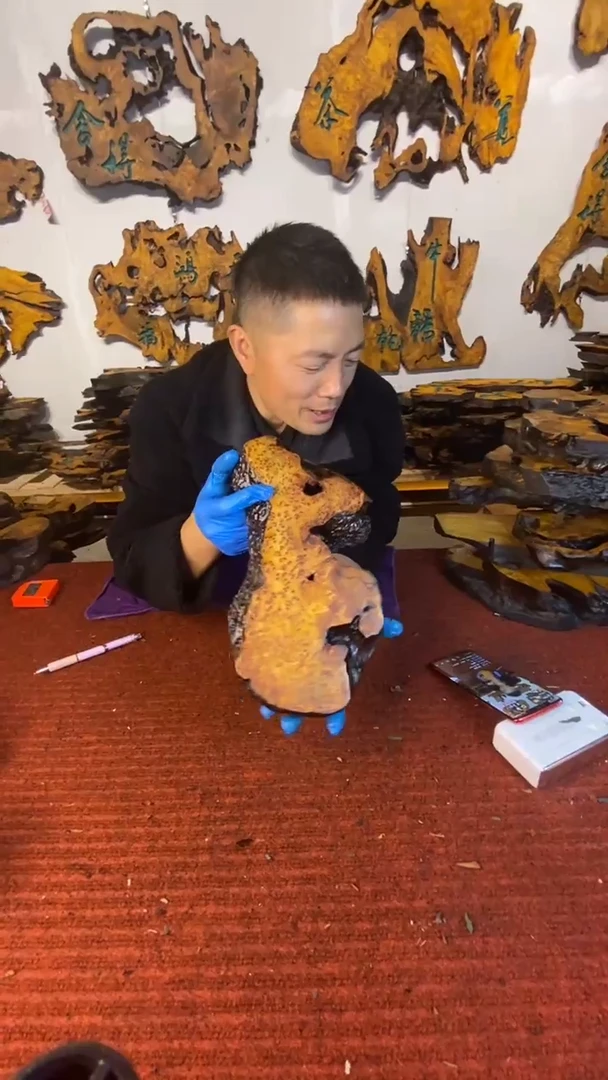 香杉木定制浮沉干泡台香杉树瘤树根料