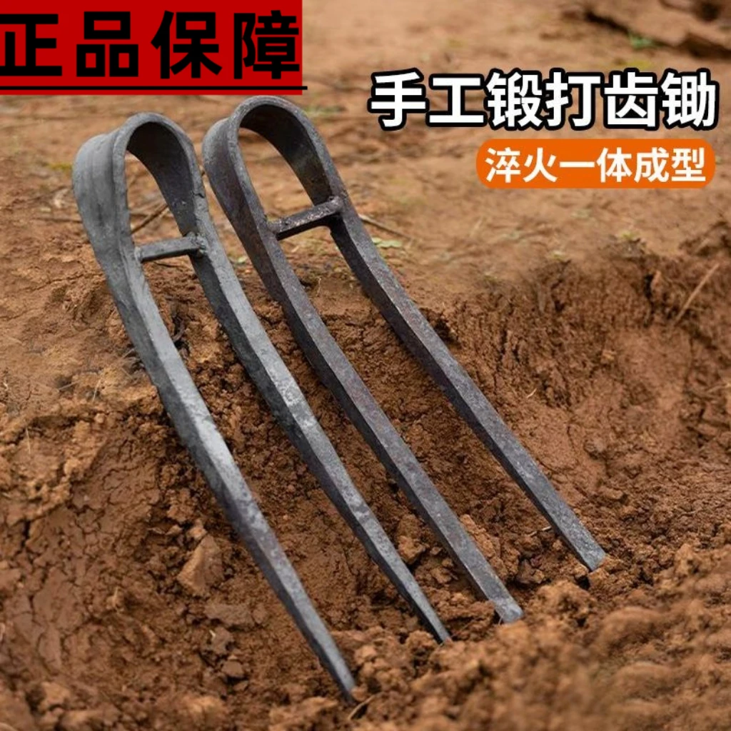 弹簧钢打造二齿锄头两用挖土开荒种菜加重家用户外专用挖红薯锄头