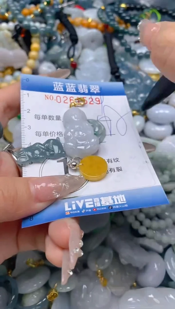 翡翠未镶嵌颈饰闪购0261529