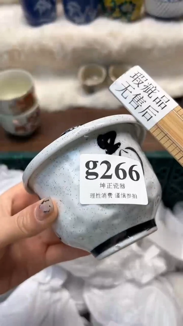 【闪购商品】瓷片          g266