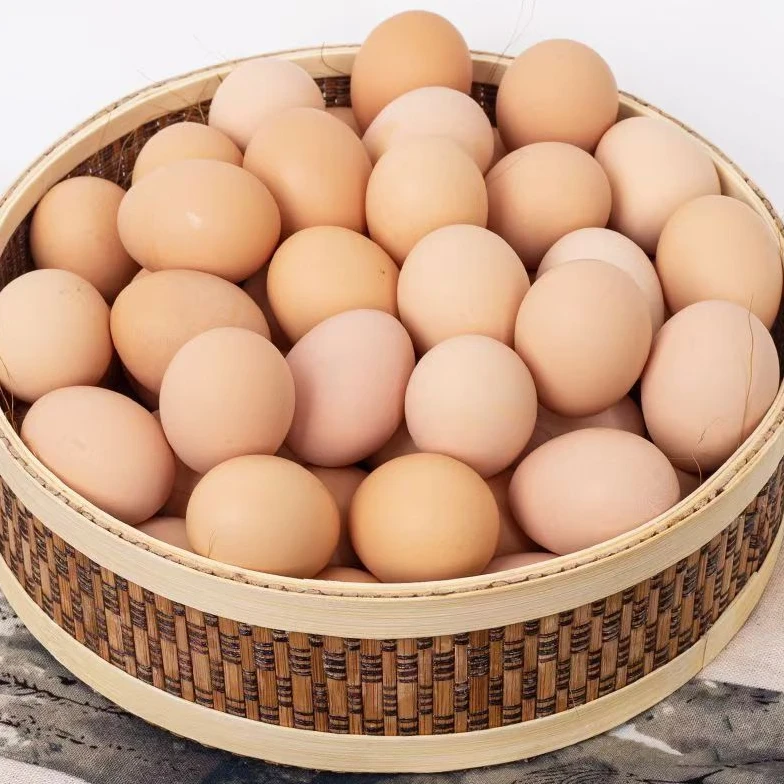 正宗新鲜土鸡蛋当日散养土鸡蛋农家笨鸡蛋产地直发五谷蛋营养天然