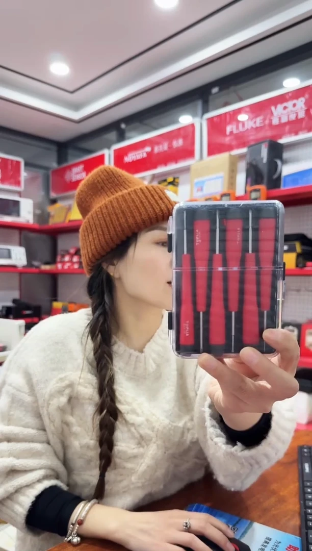拓利亚SD061004（十）6件精密螺丝批组套