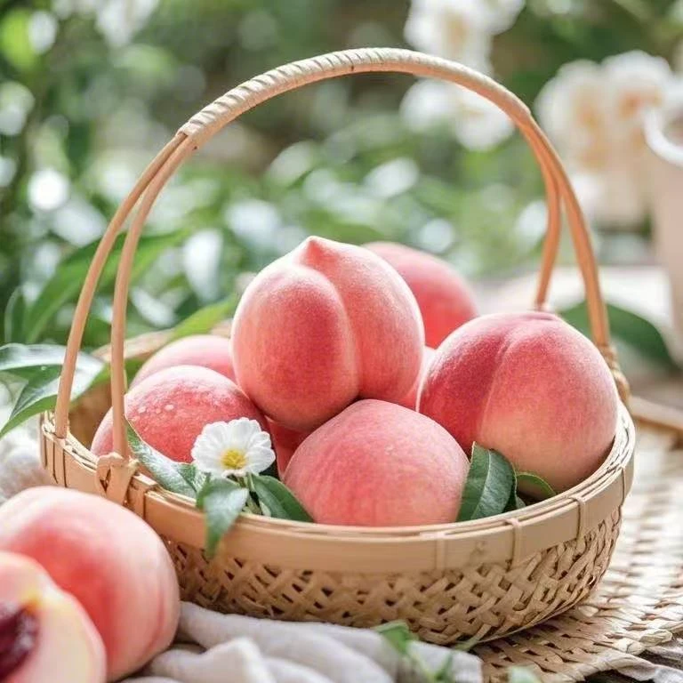 【买2斤送3斤】贵州永乐水蜜桃鲜甜多汁脆软两吃应季水果现摘现发爆汁脱核贵州省