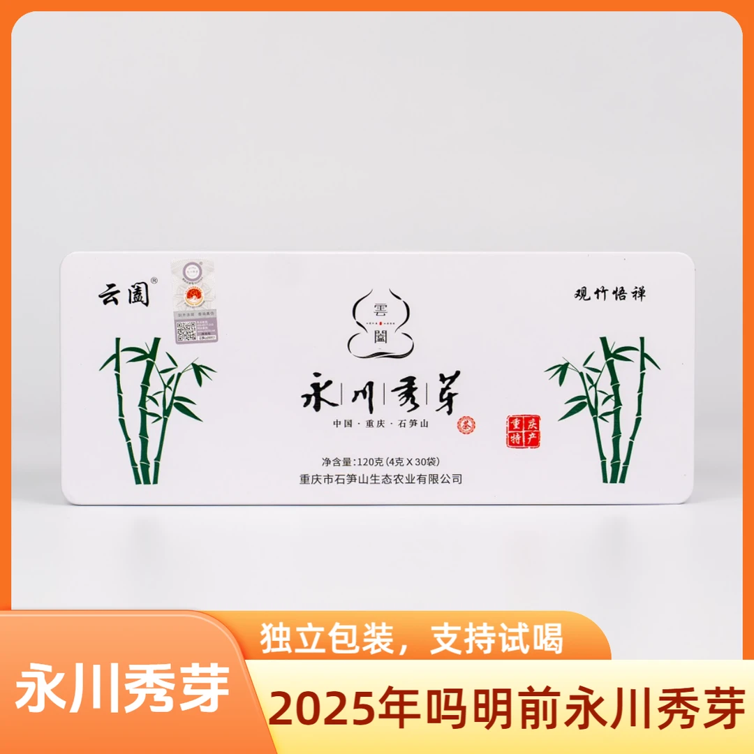 云阖永川秀芽2025明前新茶小袋装茶叶120克（4克X30袋）重庆特产
