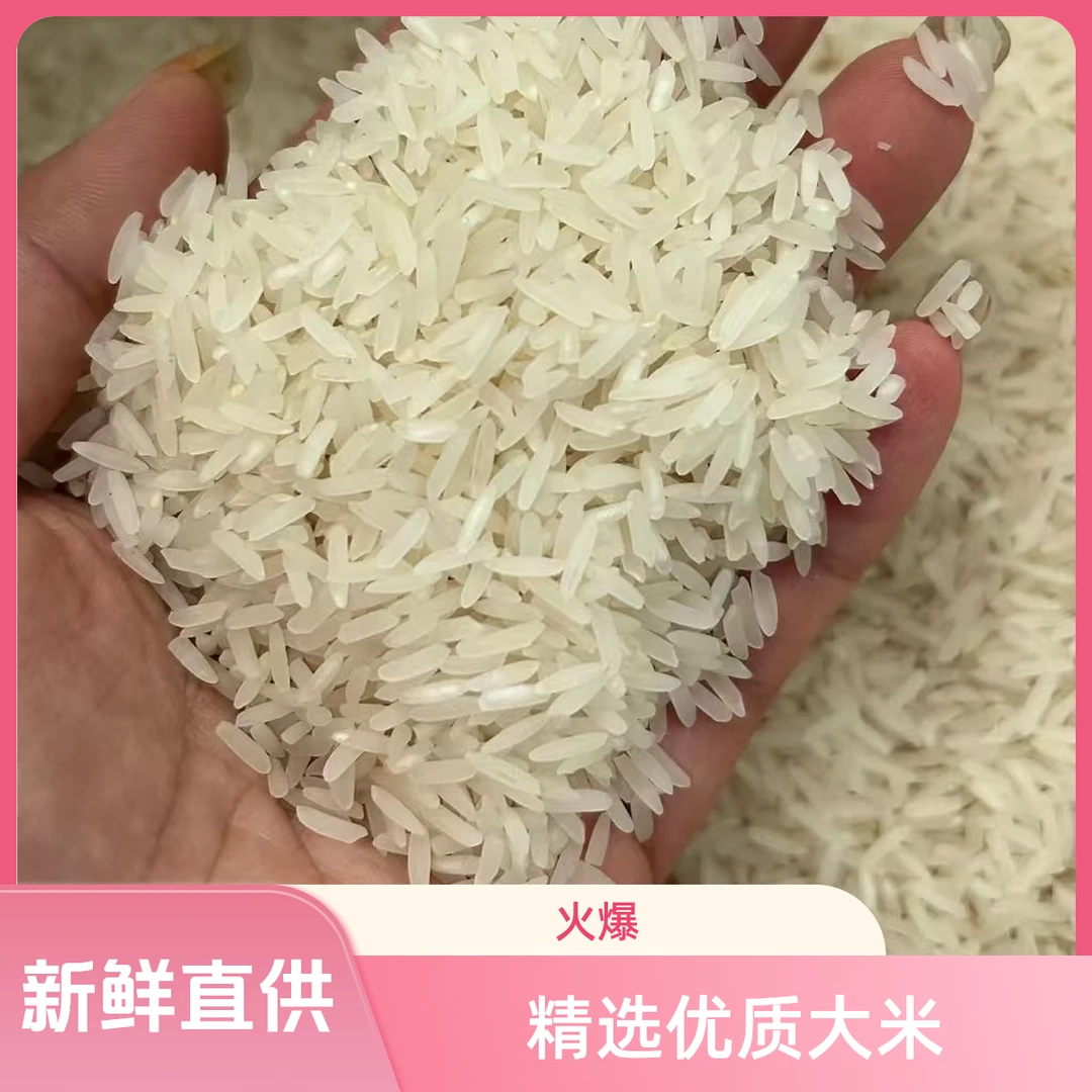 「塘河好物」高品质当季新米长粒香大米煮饭软糯新鲜不抛光不打蜡