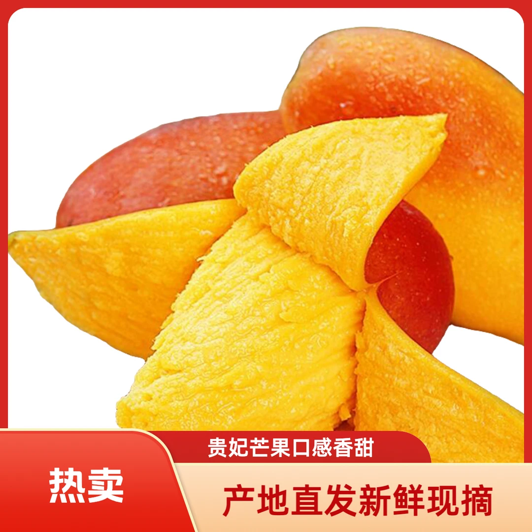 海南贵妃芒生鲜水果新鲜现摘芒果广西发货海南贵妃芒大果广西百色