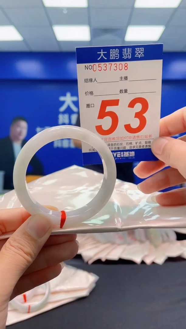 未镶嵌手镯翡翠AAAAAAAAA