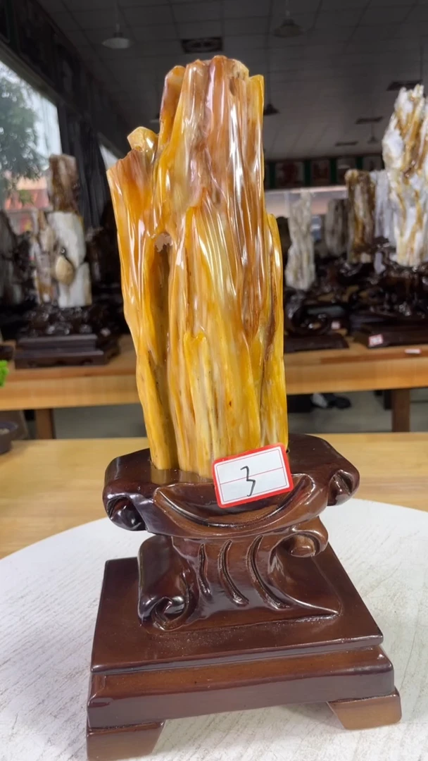 未镶嵌珠宝奇石硅化玉500