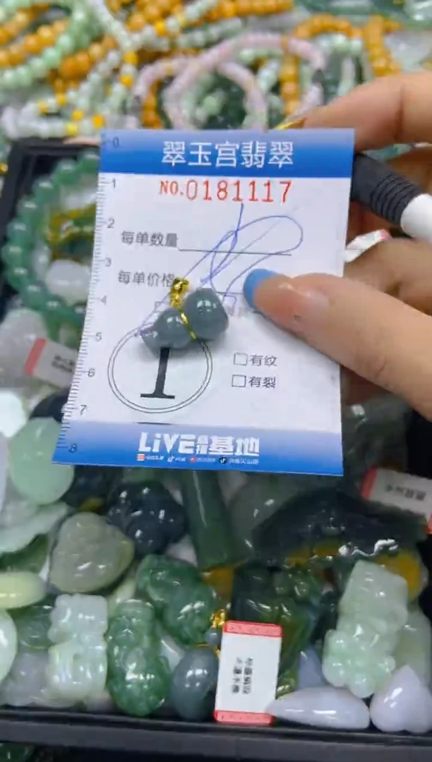 翡翠未镶嵌颈饰闪购0181117多样性发其一
