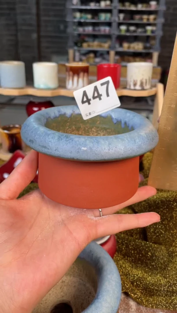 【闪购商品】摆件447小芳直播编号