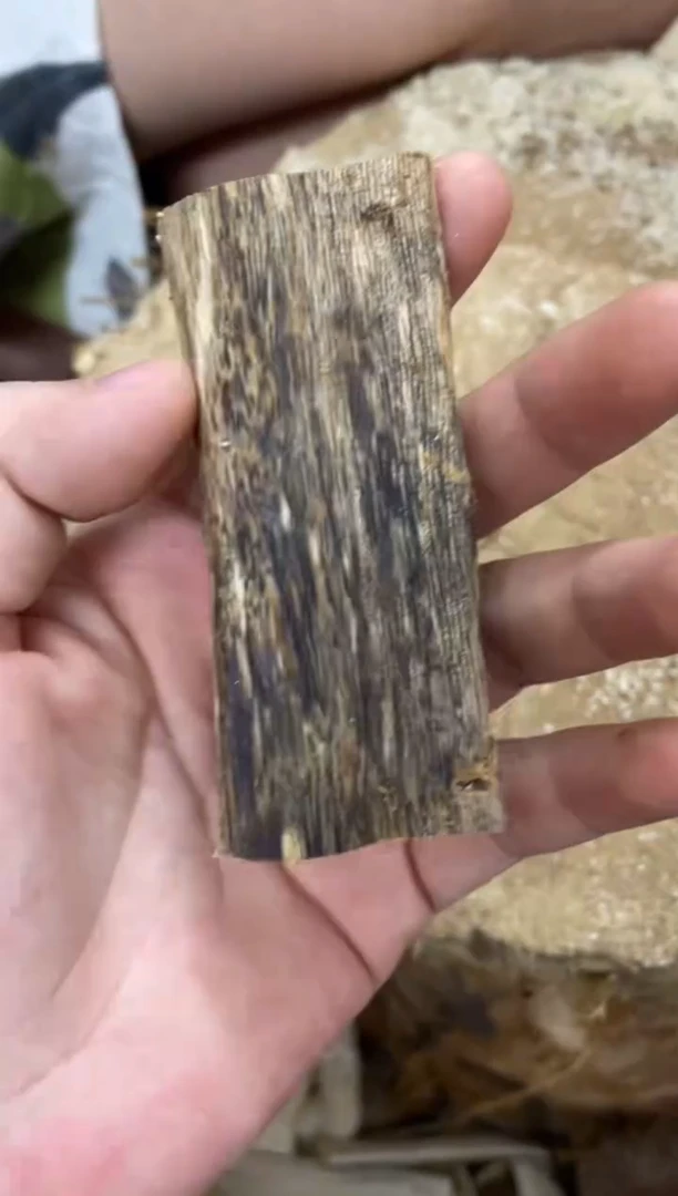 沉香沉香碎屑棋楠沉香 原料文创1