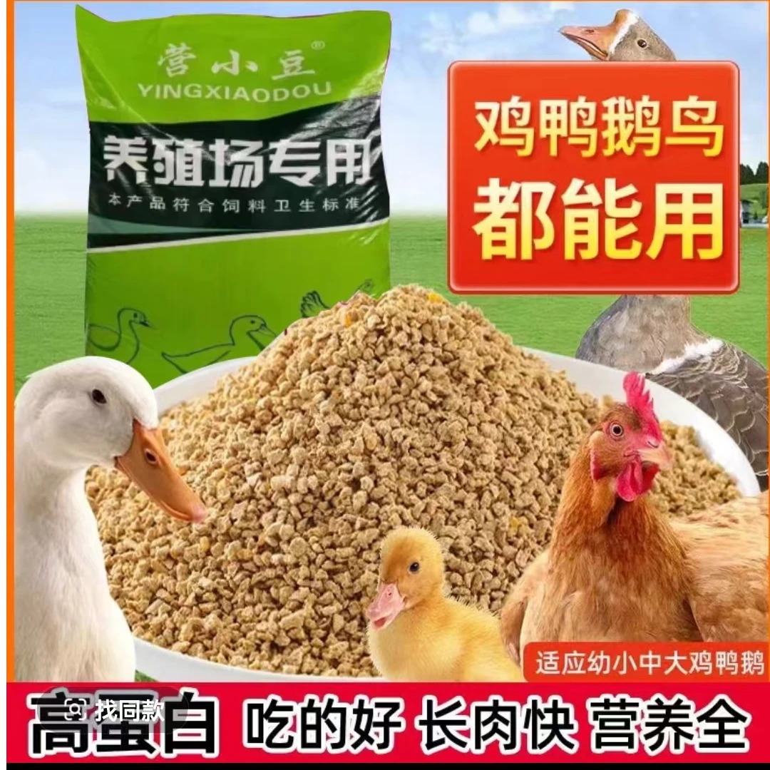 小鸡饲料一斤半鸡6只一箱