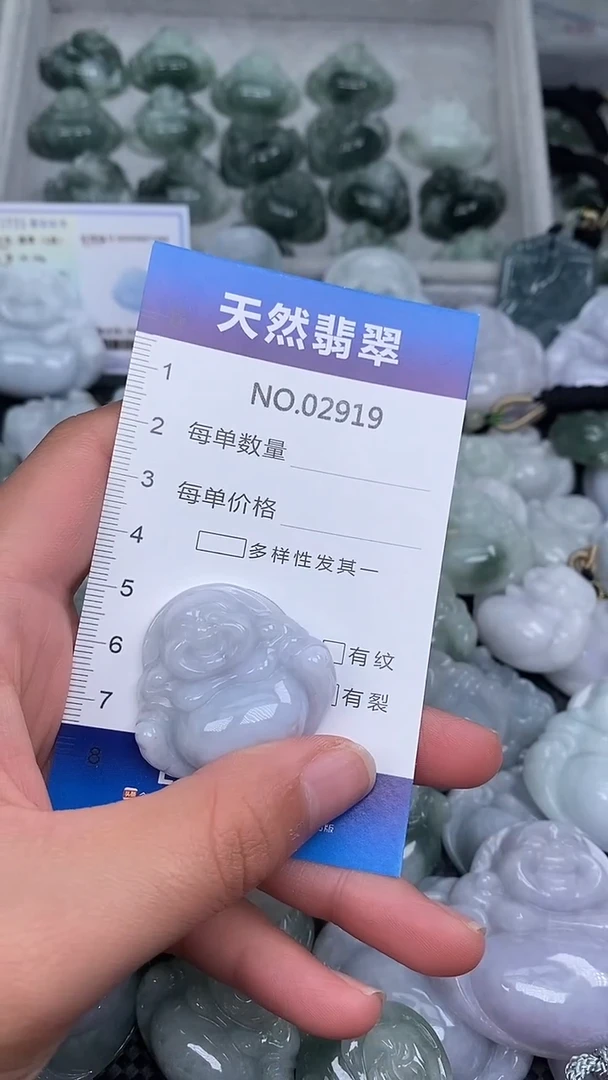 颈饰未镶嵌翡翠纯天然A货翡翠2919